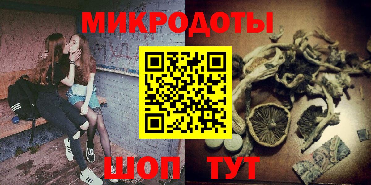 Удомля  как найти   Вход с VPN  Галлюциногенные грибы прущие грибы  Псилоцибиновые грибы Magic Shrooms 