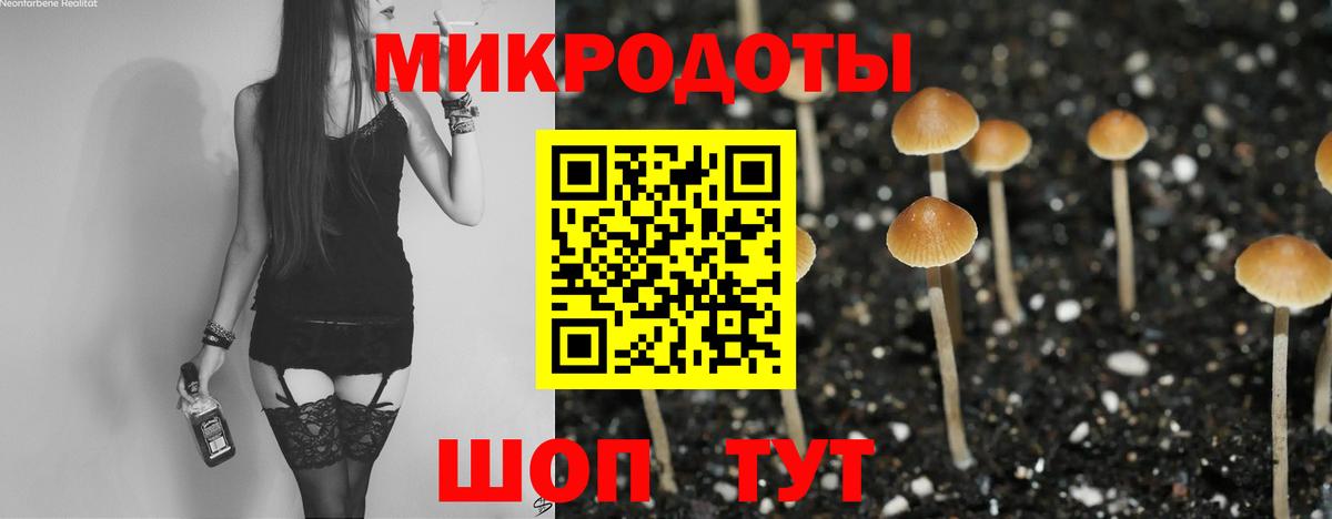 Галлюциногенные грибы Magic Shrooms Удомля